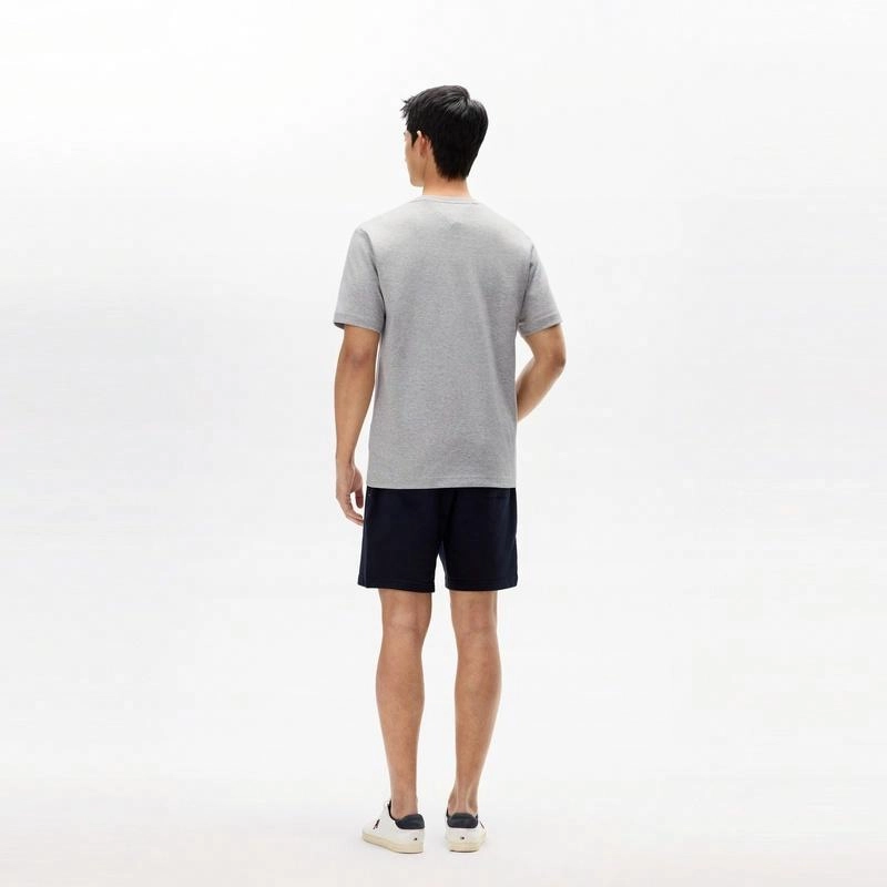 Tommy Hilfiger T