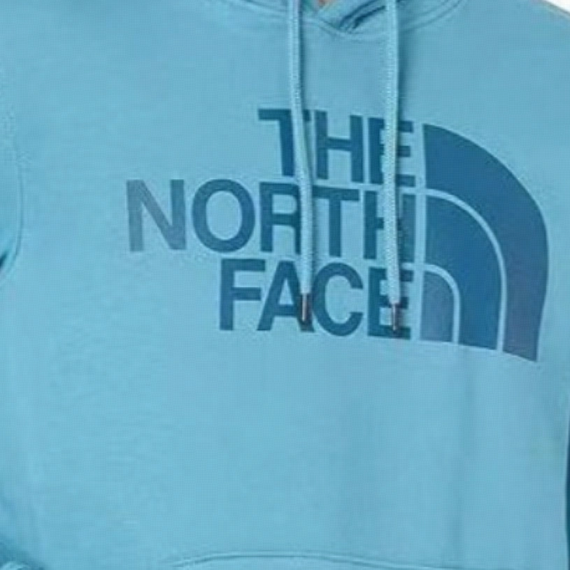 THE NORTH FACE Men's Half Dome Pullover Hoodie Logo