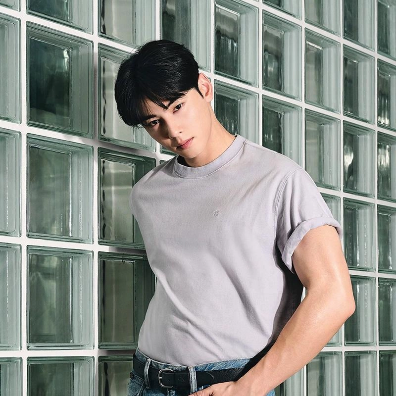 CALVIN KLEIN T