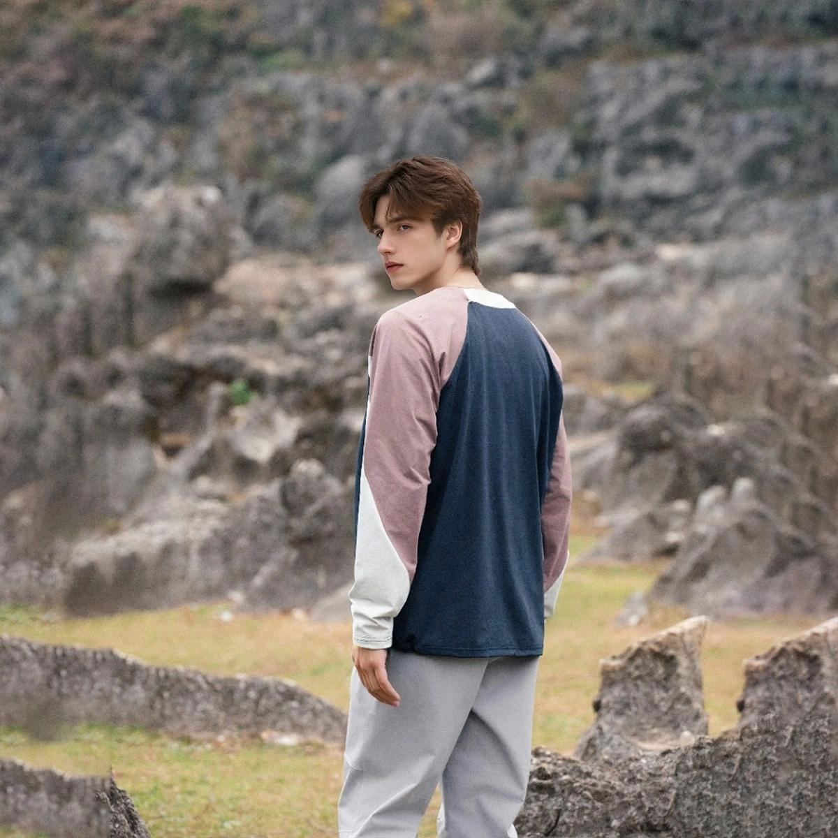 hummel T
