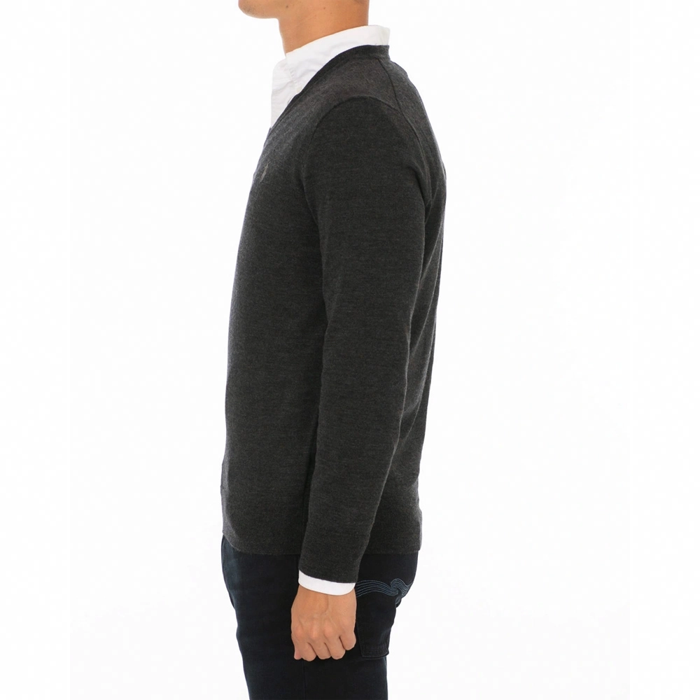 Polo Ralph Lauren LogoV