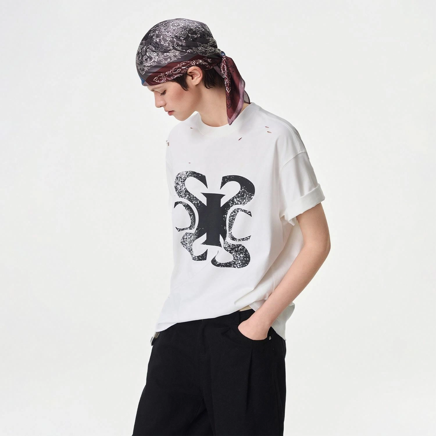ICONS Lab ICS T