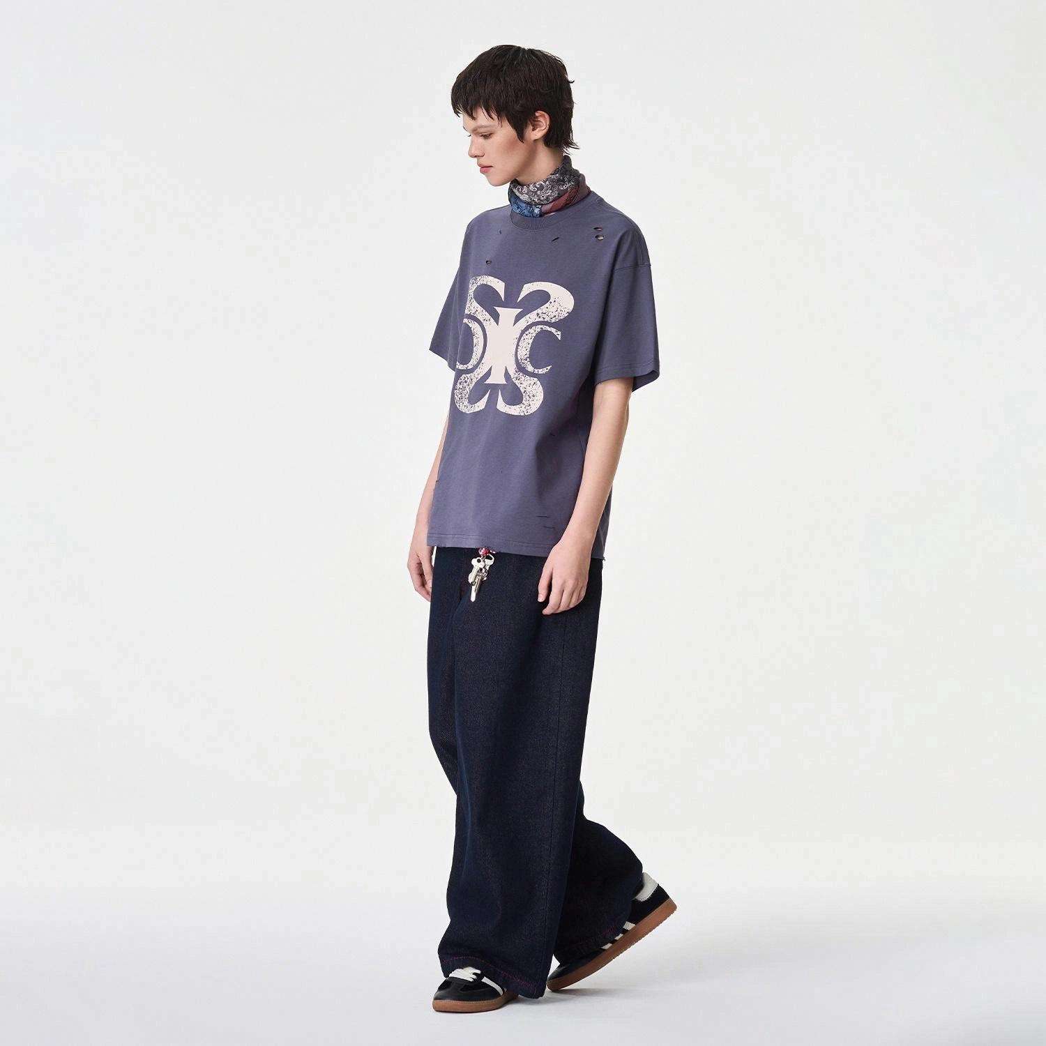 ICONS Lab ICS T