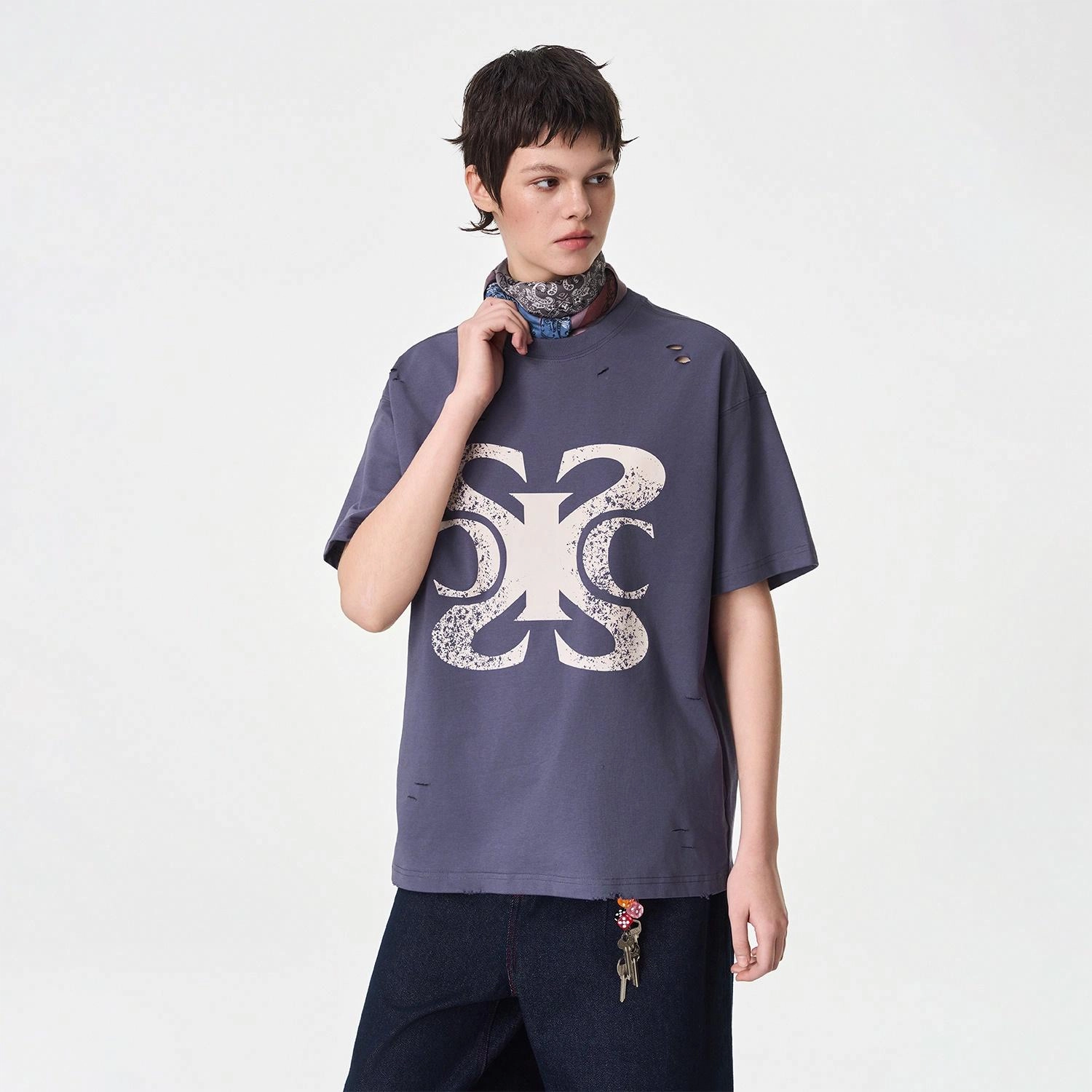 ICONS Lab ICS T