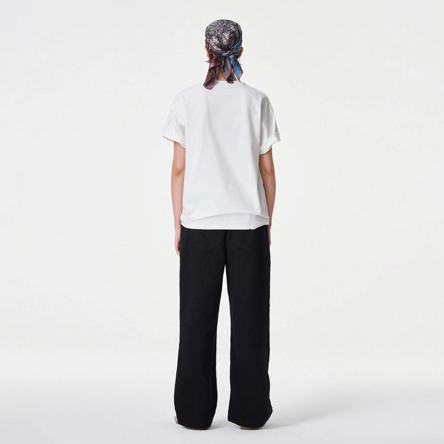 ICONS Lab ICS T