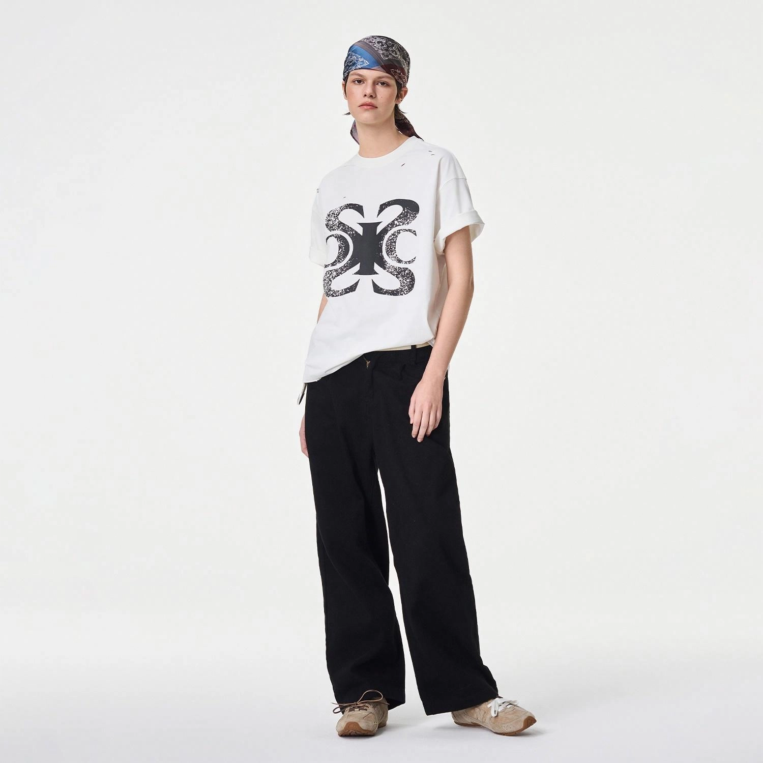 ICONS Lab ICS T
