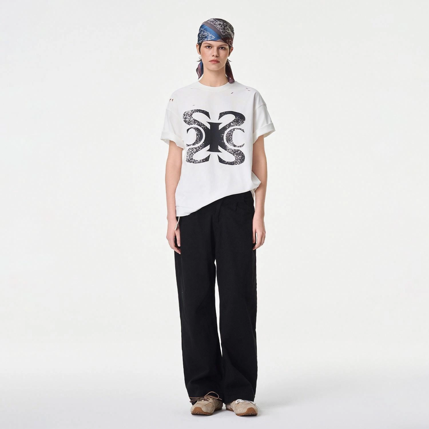 ICONS Lab ICS T