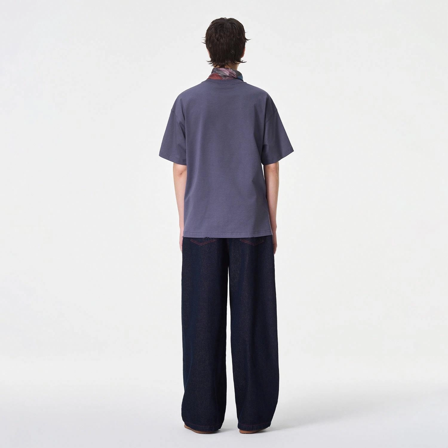 ICONS Lab ICS T