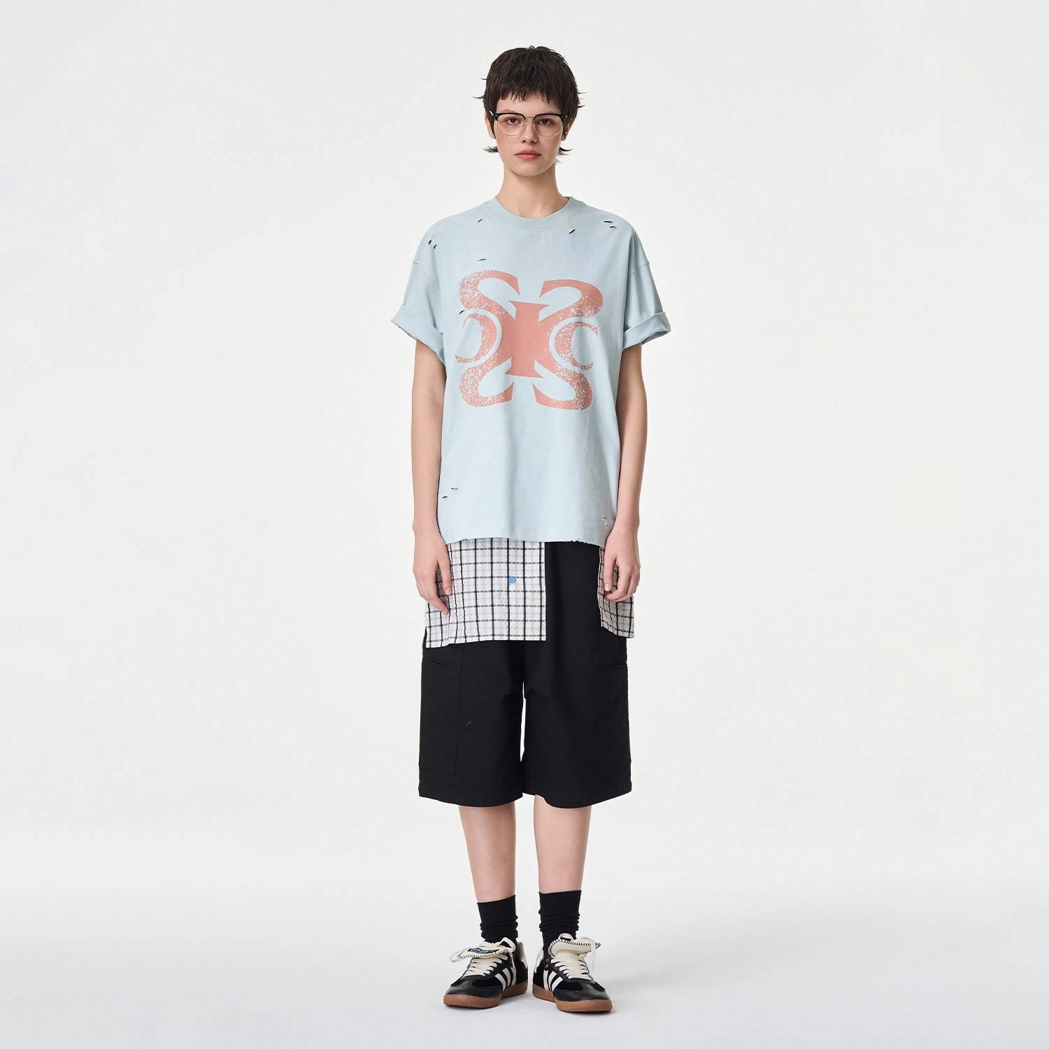 ICONS Lab ICS T