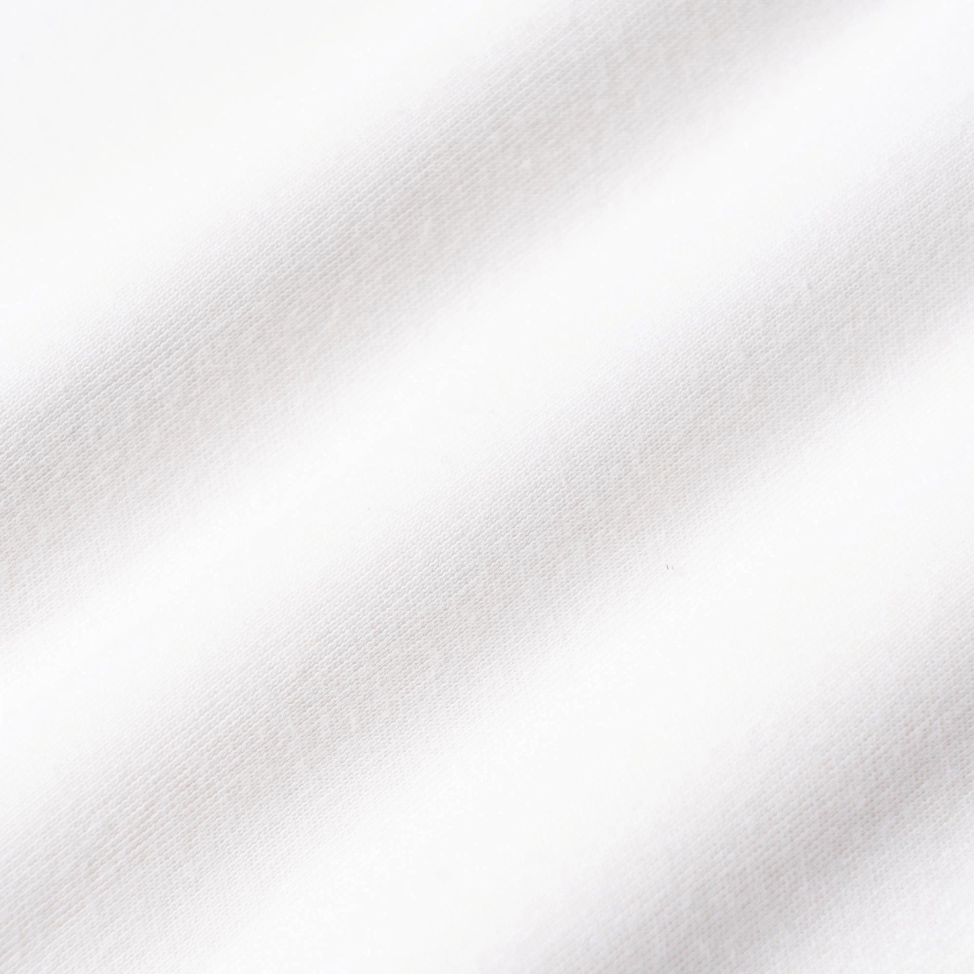 Polo Ralph Lauren FW23 Logo
