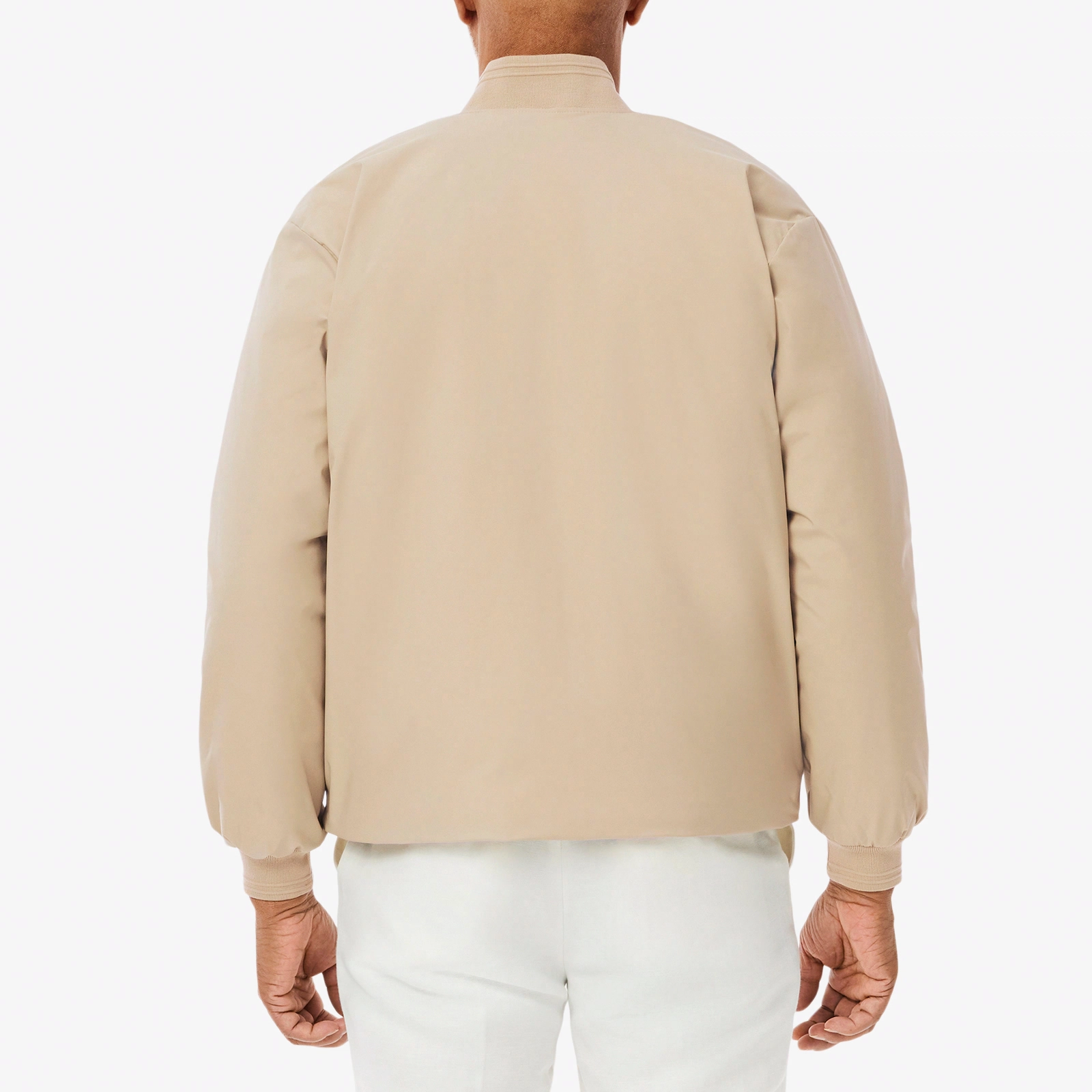 LACOSTE SS25 Logo