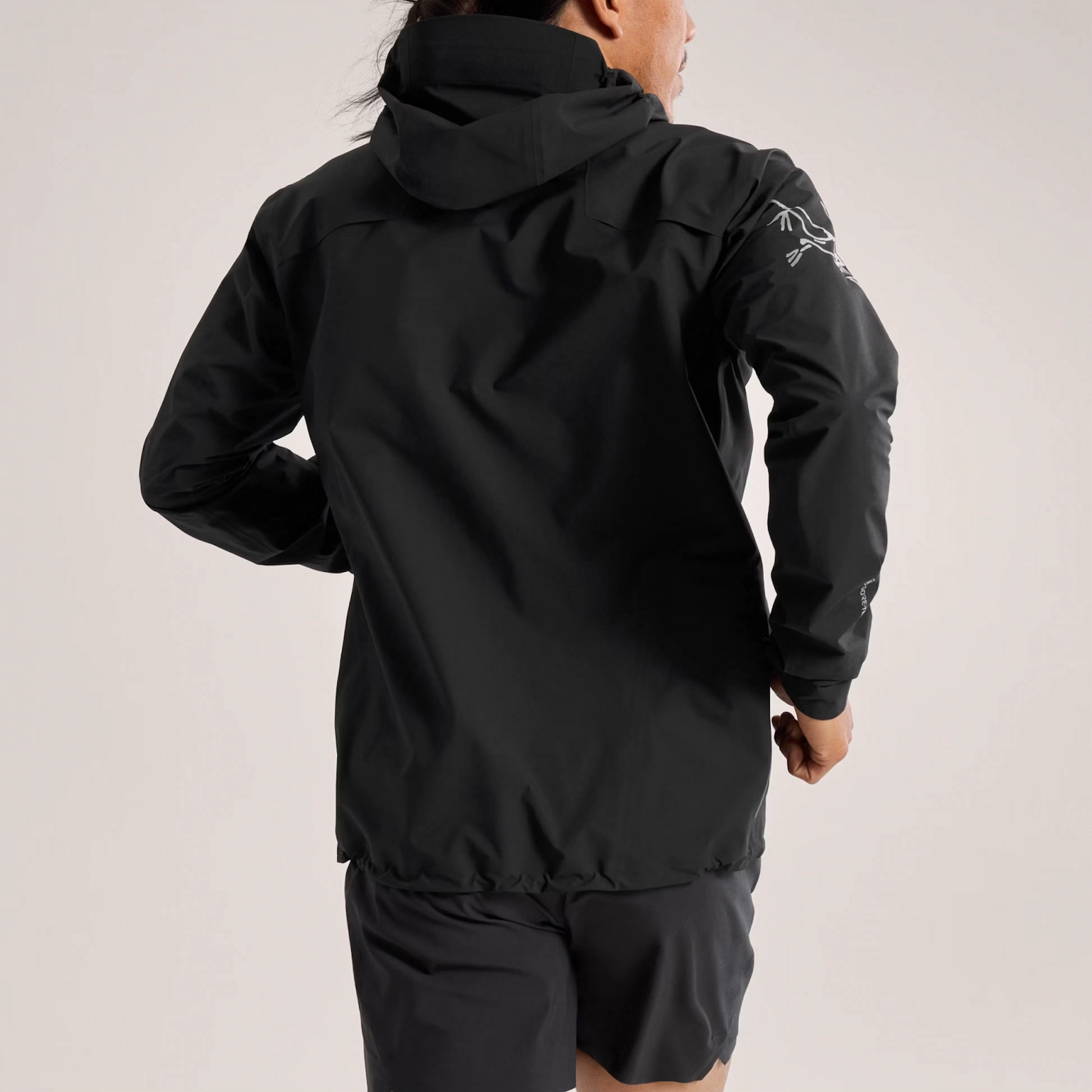 Arcteryx Norvan GORE-TEX logo
