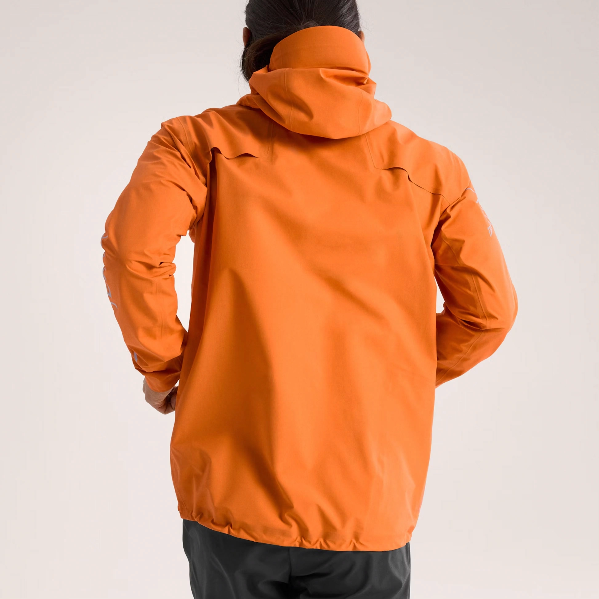 Arcteryx Norvan GORE-TEX logo