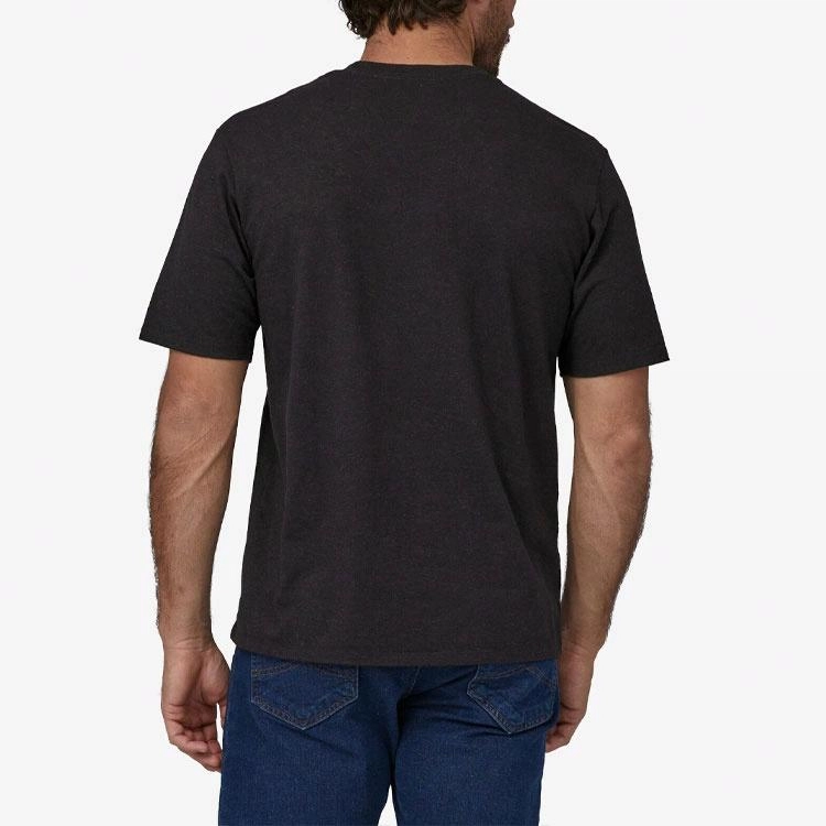 patagonia T