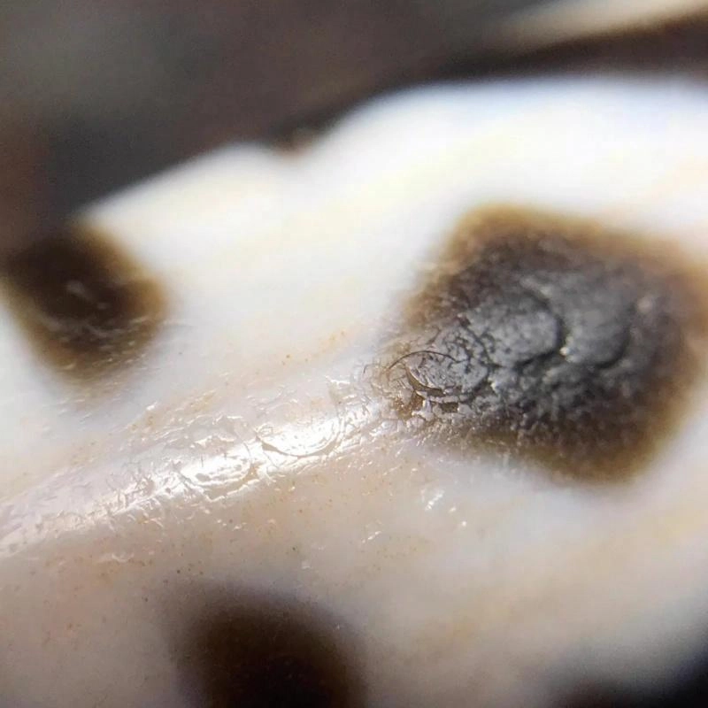 灵运宝 #转运招财金刚六眼两眼天珠满老矿风化油润包浆老料器磨损到位天然 玛瑙 吊坠 男女同款情侣款
