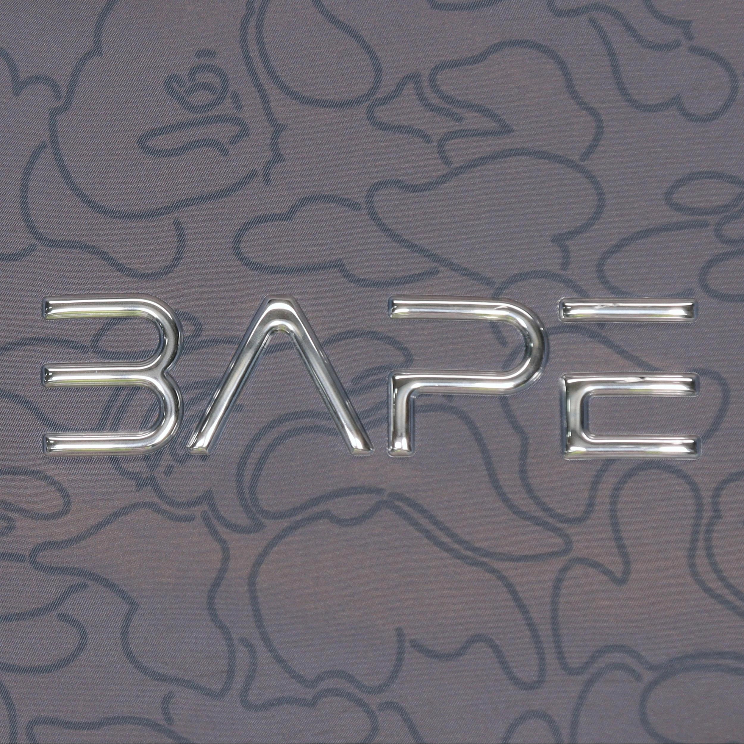 A BATHING APE x HAJIME SORAYAMA Logo