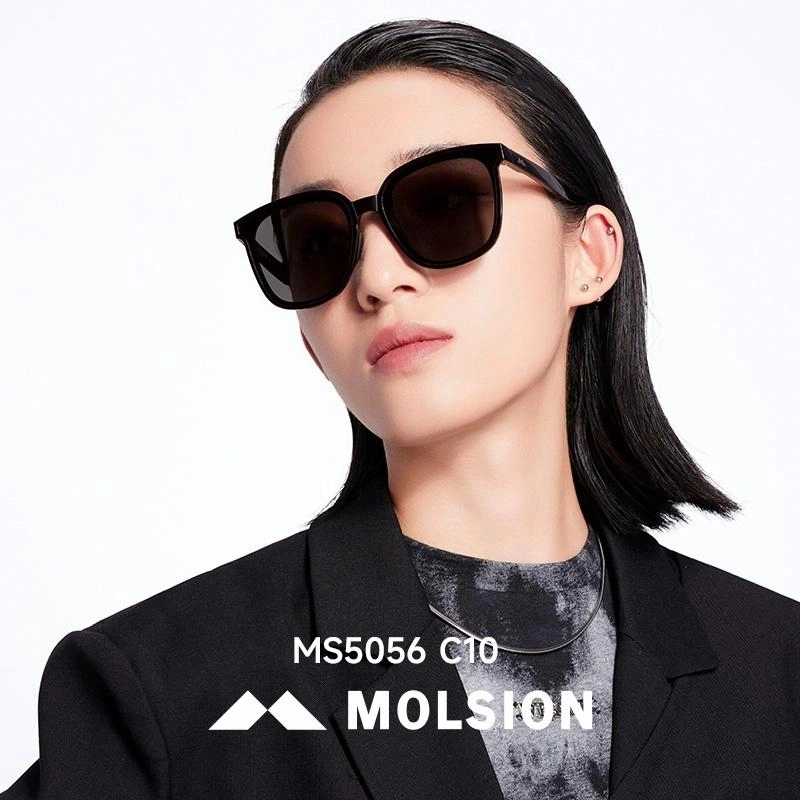 MOLSION