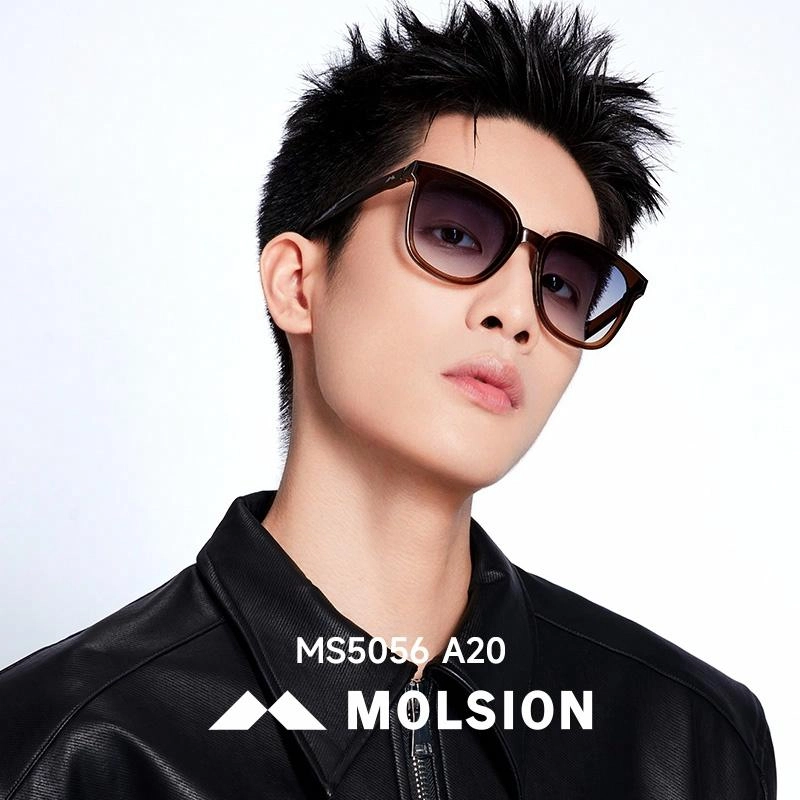 MOLSION
