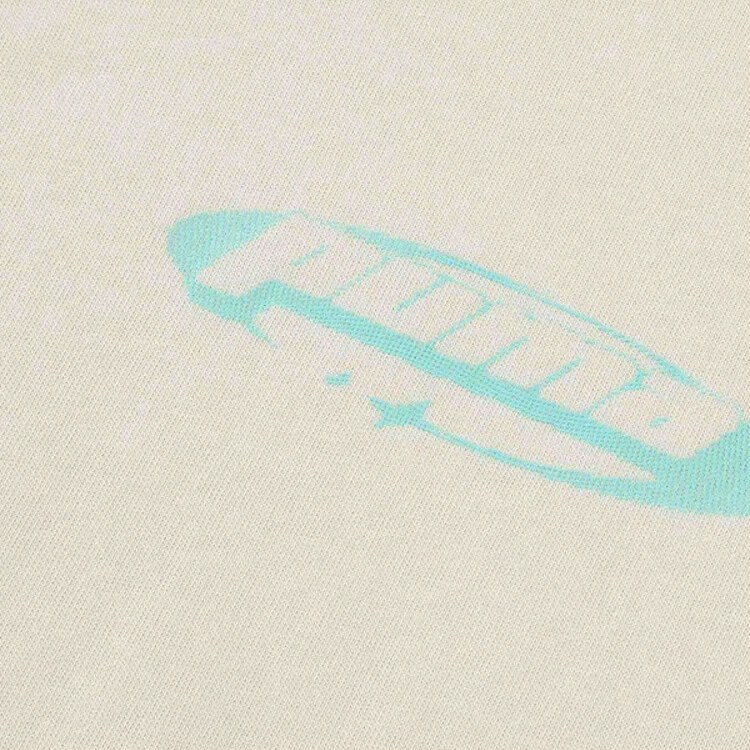PUMA graphic SS25 T -87