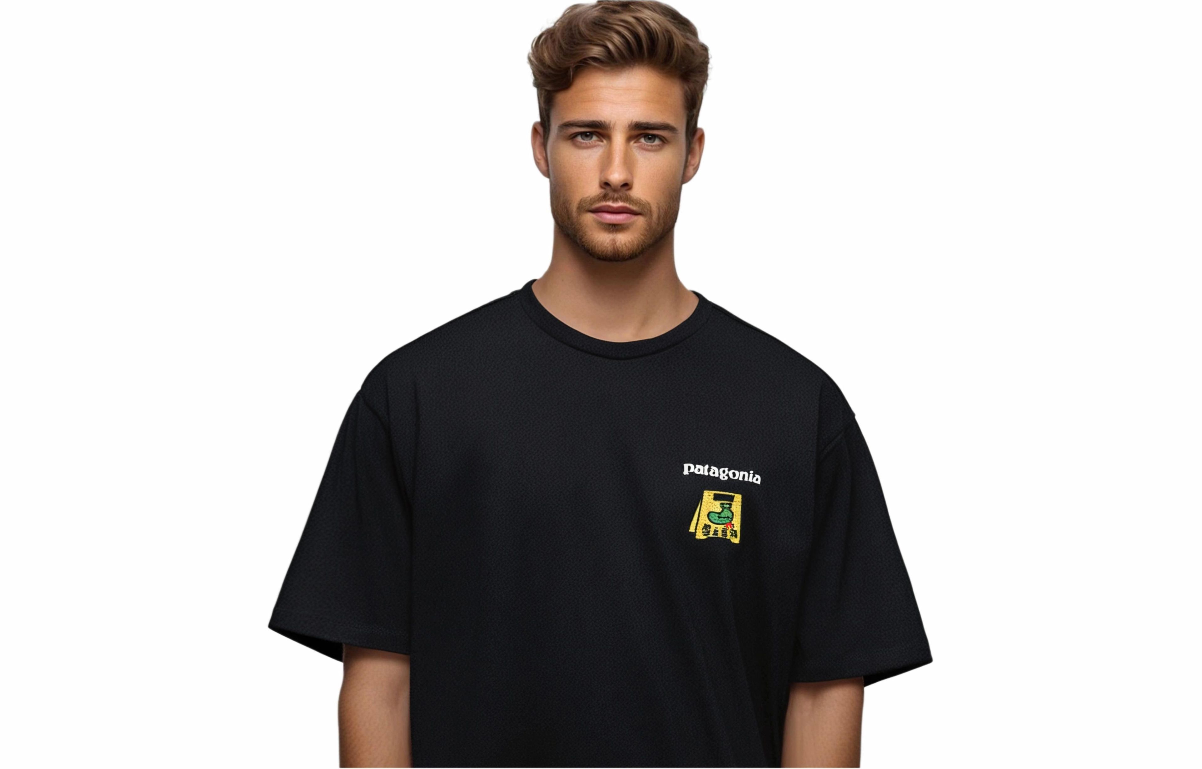 patagonia Extraordinary T