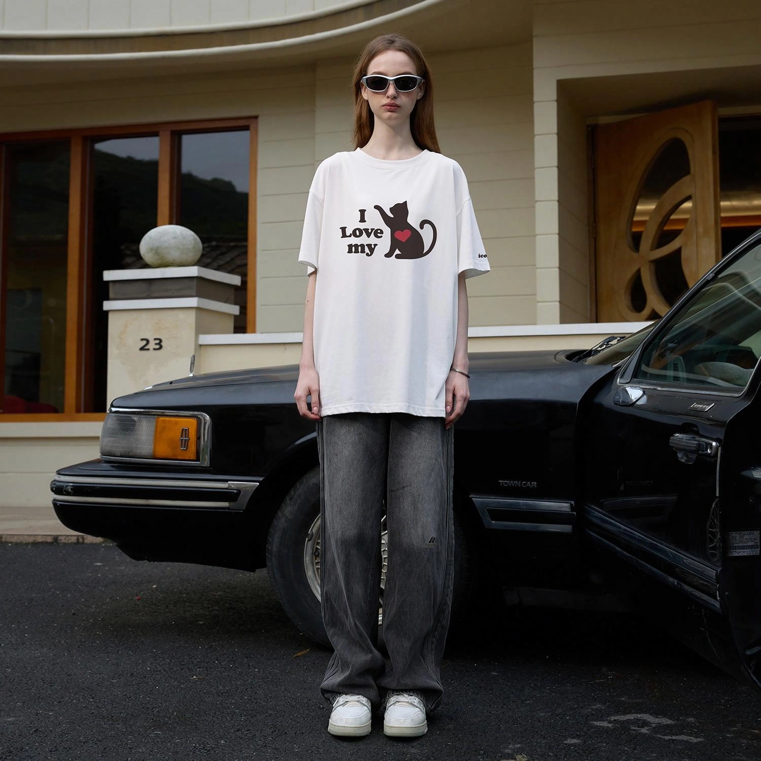 ICONS Lab T