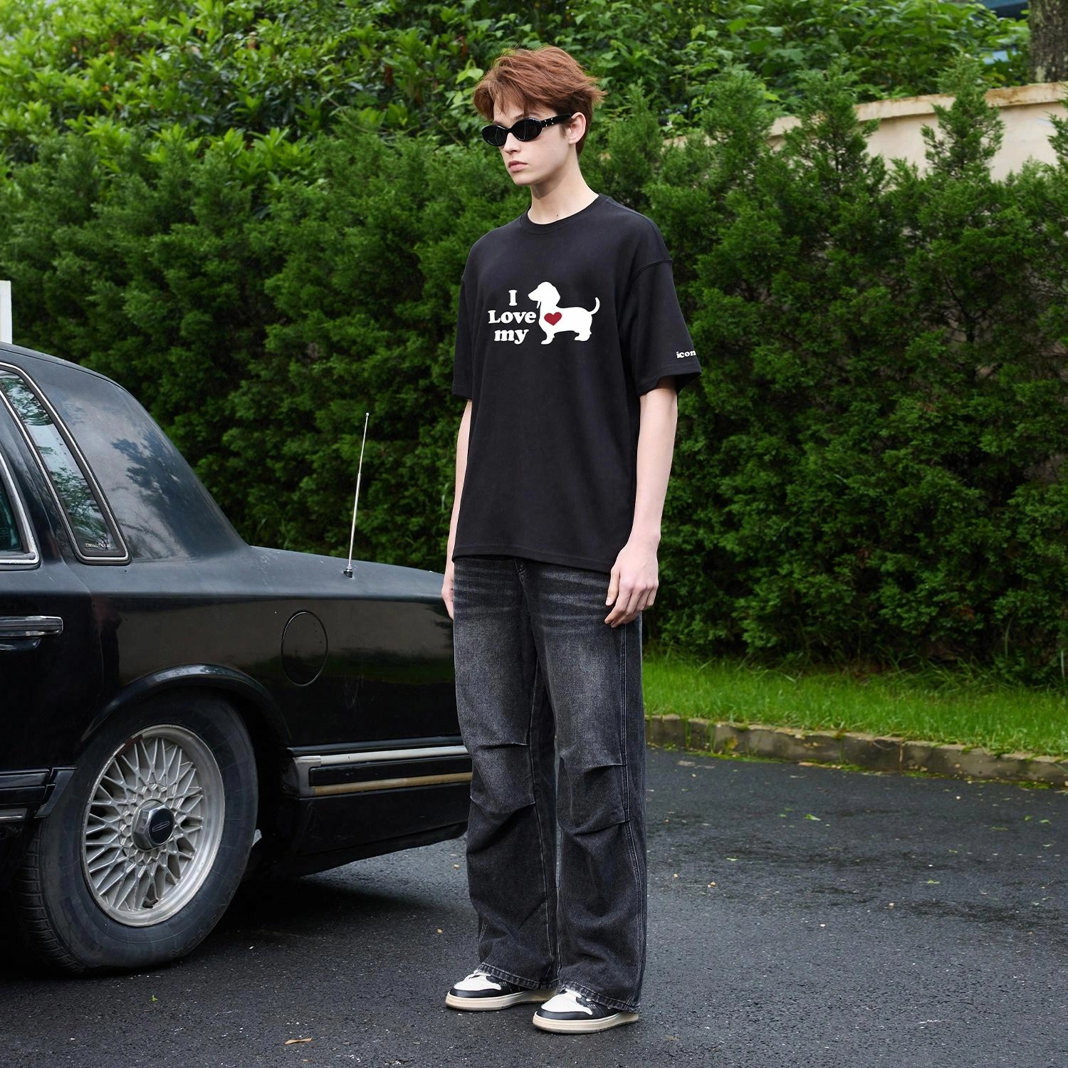 ICONS Lab T