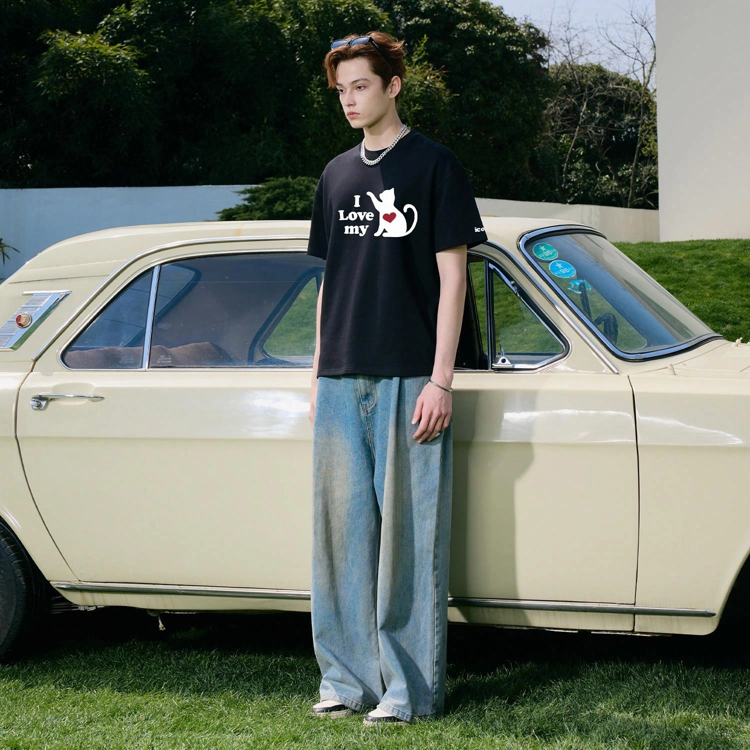 ICONS Lab T