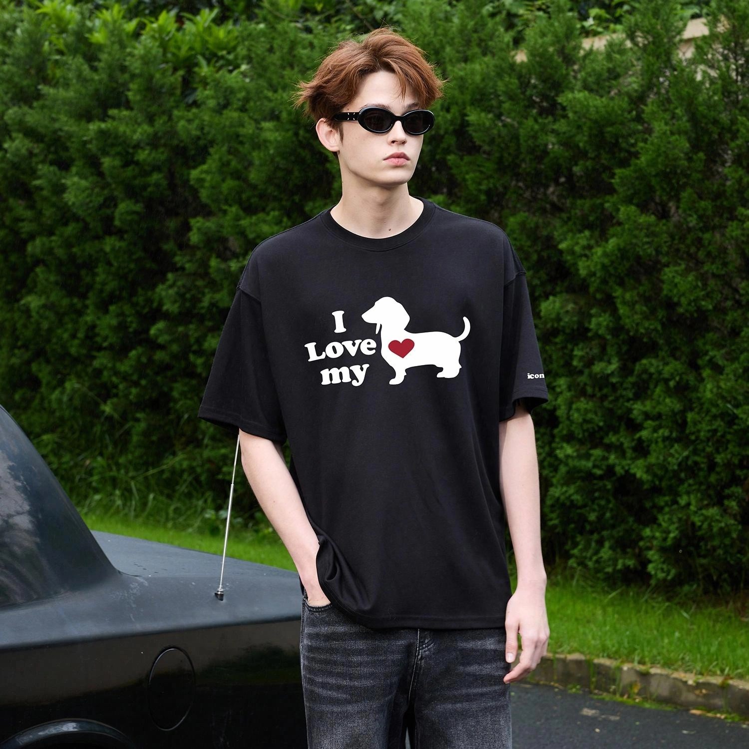 ICONS Lab T