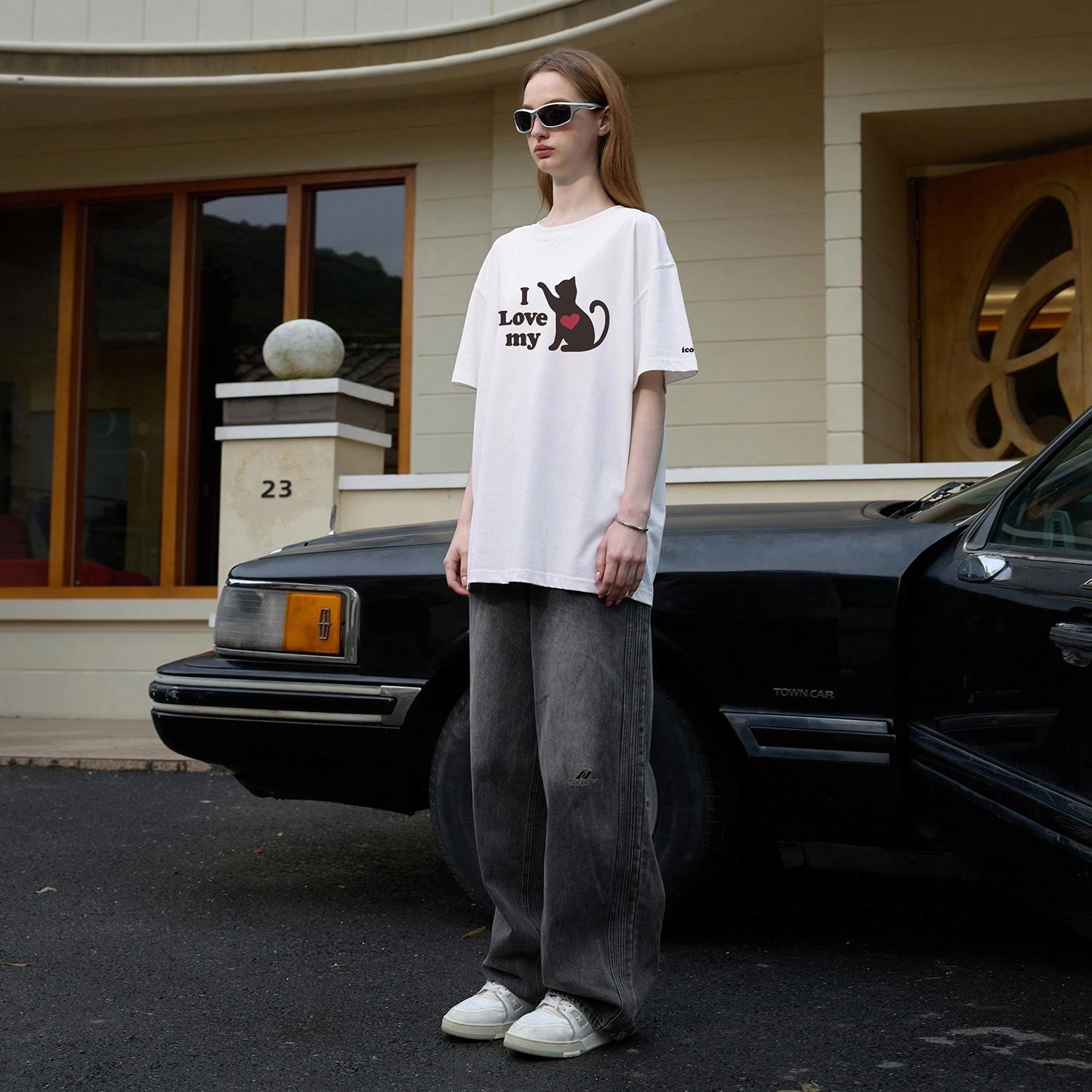 ICONS Lab T