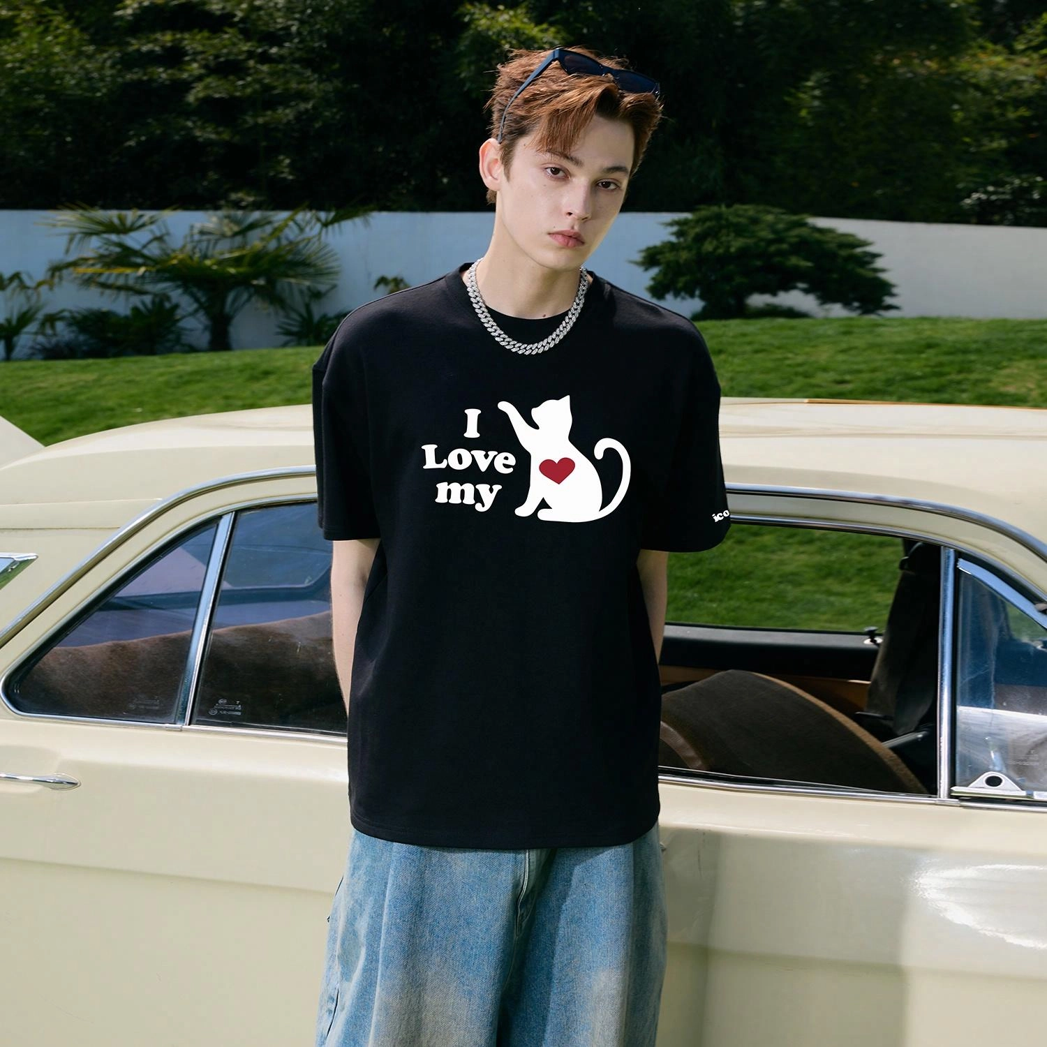 ICONS Lab T
