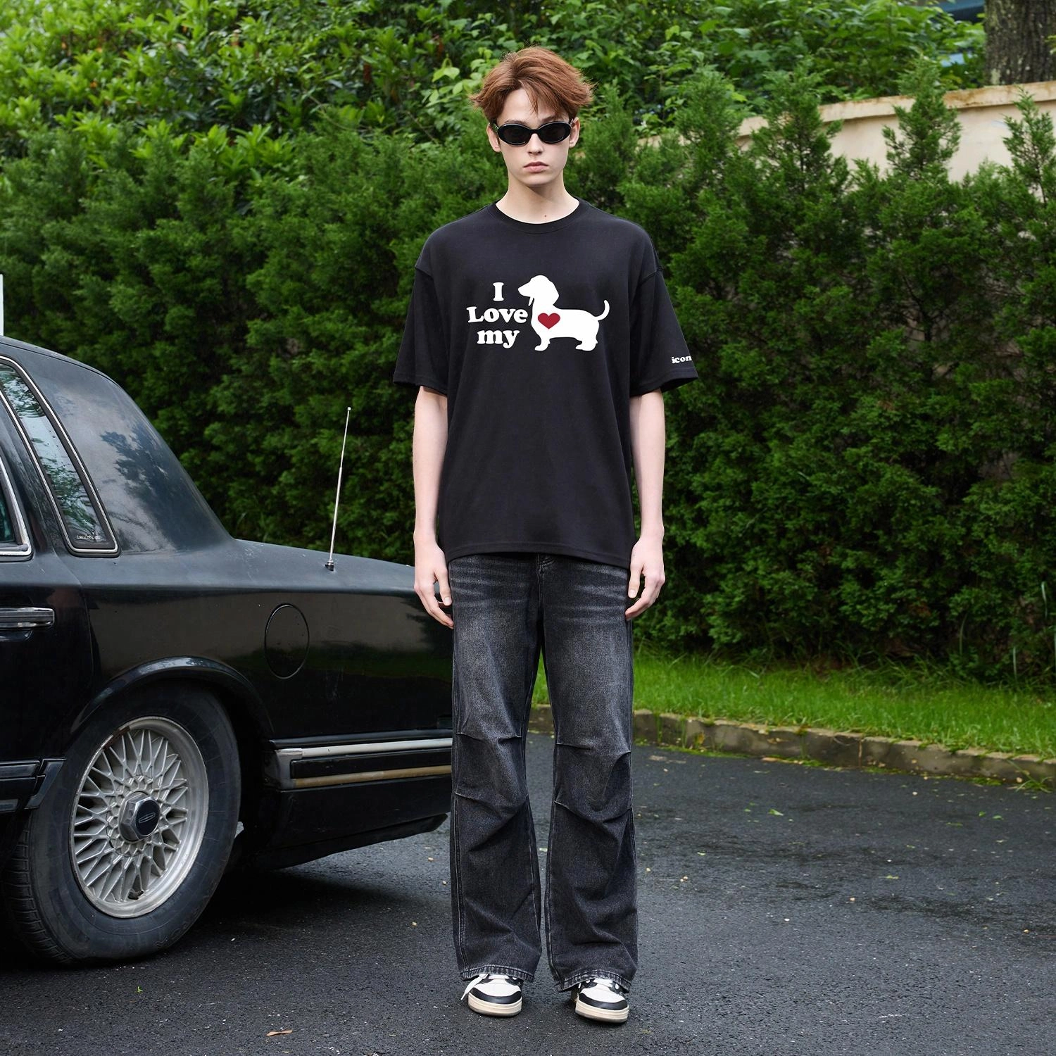 ICONS Lab T