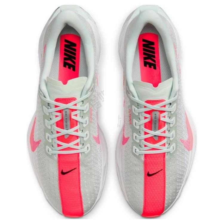 Nike Pegasus Plus