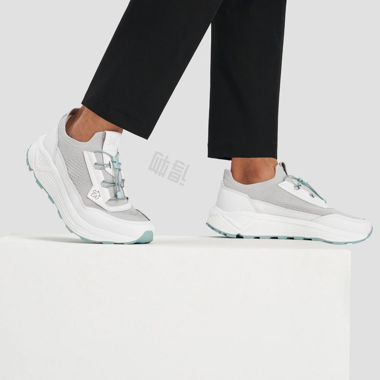 DESCENTE DUALIS