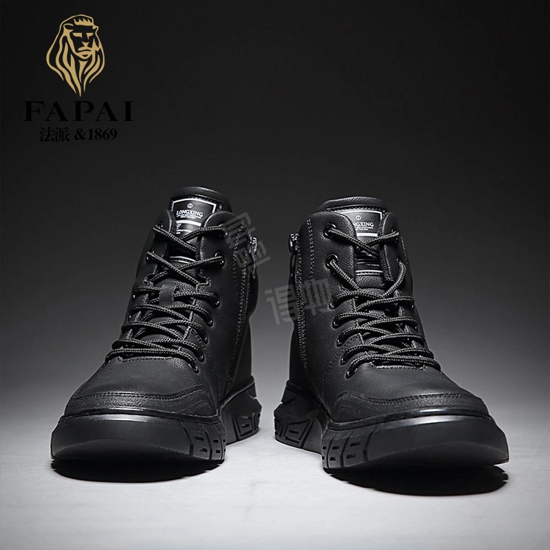 FAPAI