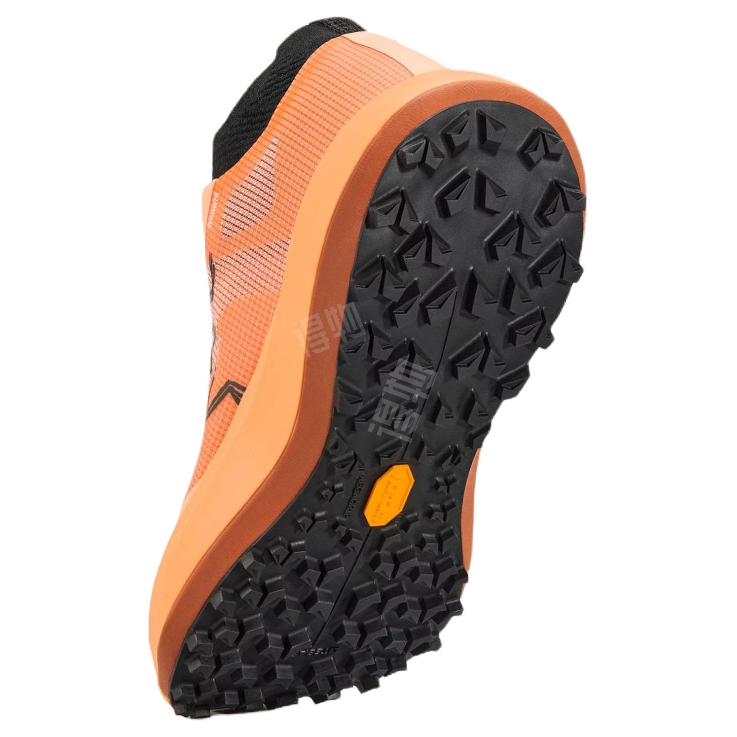 Arcteryx SYLAN PRO