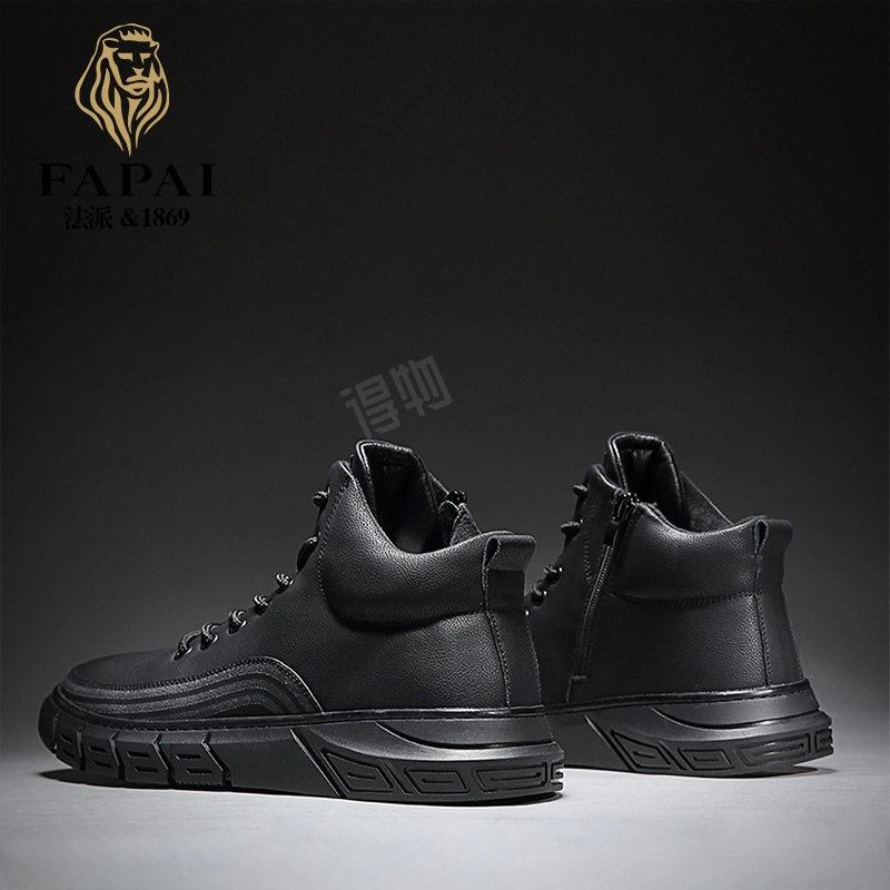 FAPAI