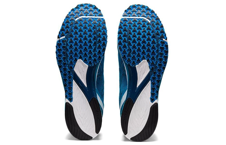 Asics Tartheredge 2