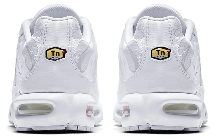 Nike Air Max Plus