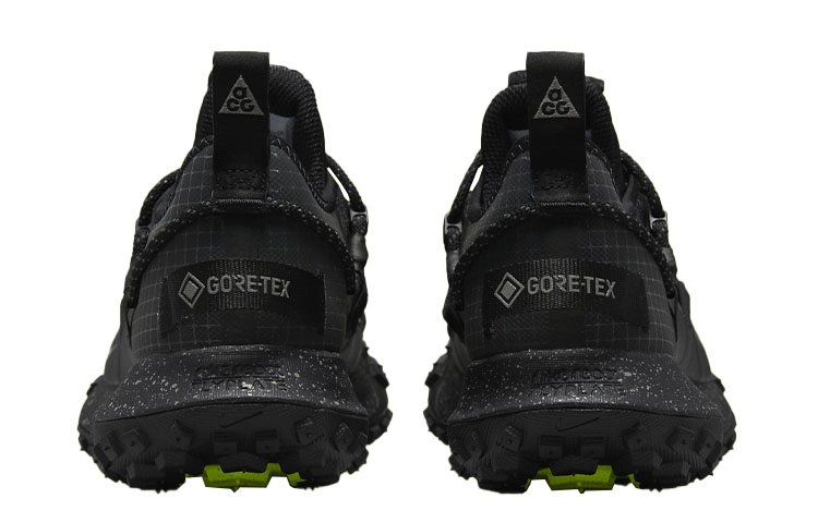Nike ACG Mountain Fly Low GTX SE