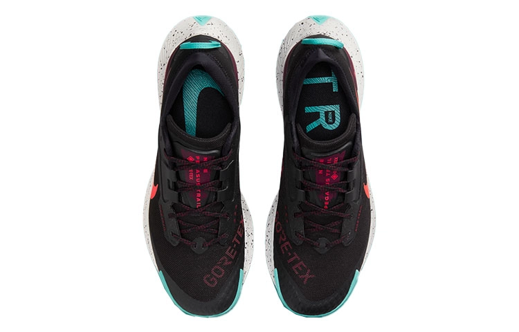 Nike Pegasus Trail 3 Gore-Tex