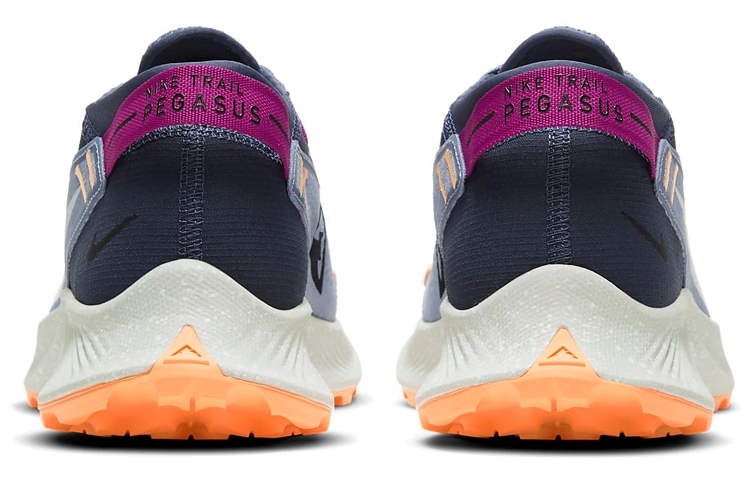 Nike Pegasus Trail 2