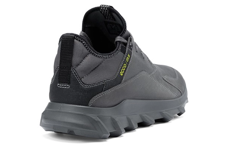 ecco Mx