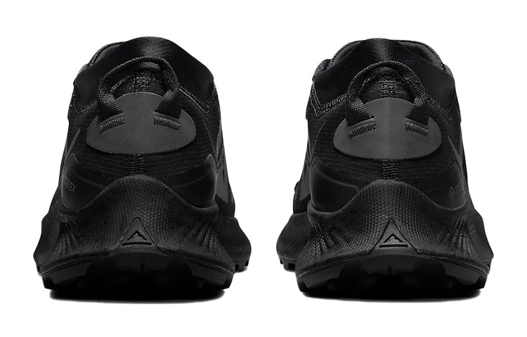 Nike Pegasus Trail 3 GTX