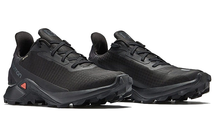Salomon Alphacross 3 Gtx