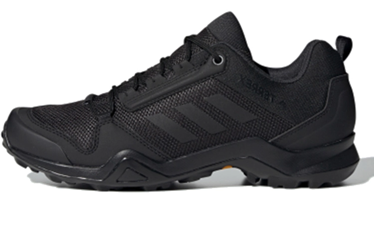 adidas Terrex AX3 GTX