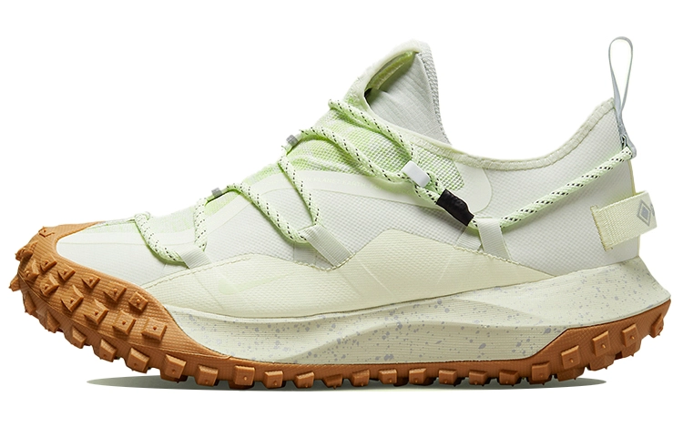 Nike ACG Mountain Fly Low GTX SE