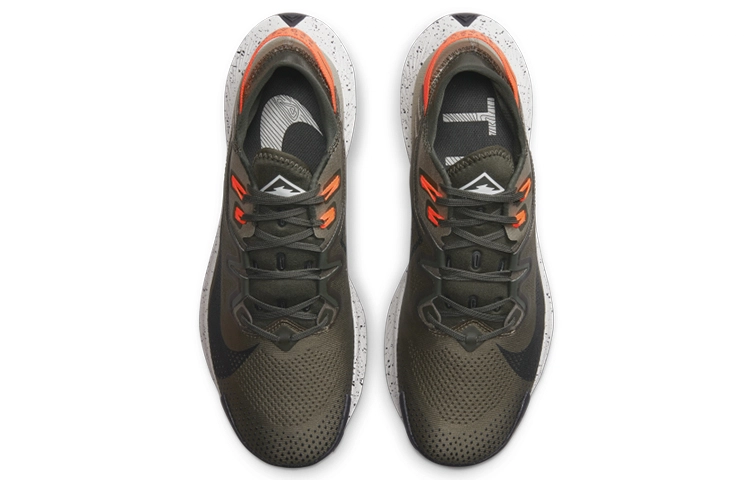 Nike Pegasus Trail 2