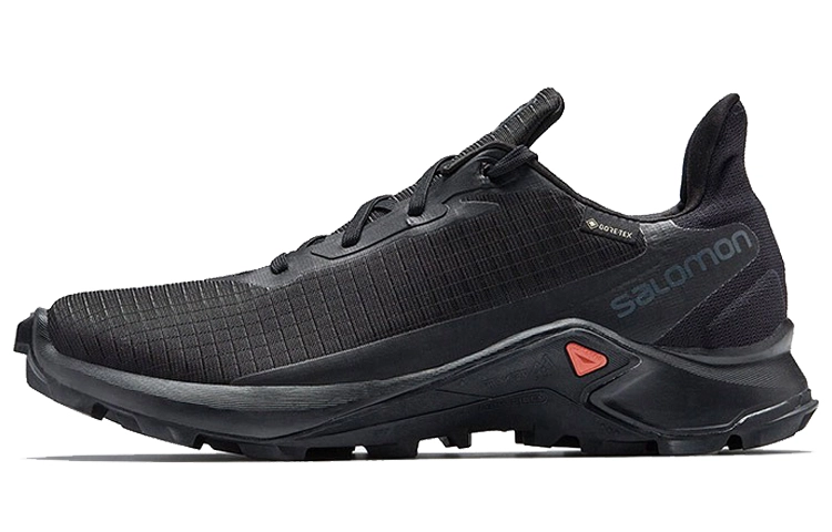 Salomon Alphacross 3 Gtx