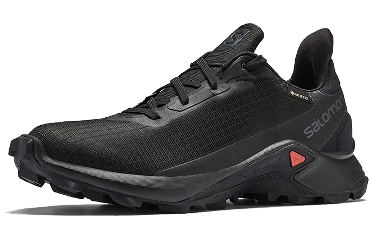 Salomon Alphacross 3 Gtx