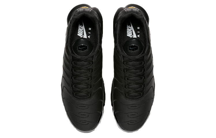 Nike Air Max Plus Triple Black